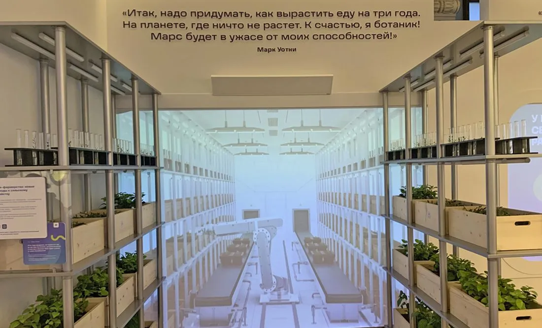 Кабель-менеджмент в музее БИОТЕХ 